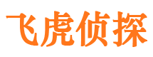 济阳婚外情调查取证